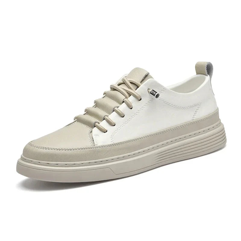 Friedrich | Leder Turnschuhe